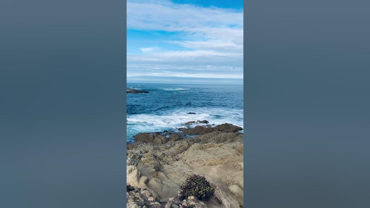 17 mile drive in Carmel! 🙏🏽🤙🏽#carmel #17miledrive #pebblebeach