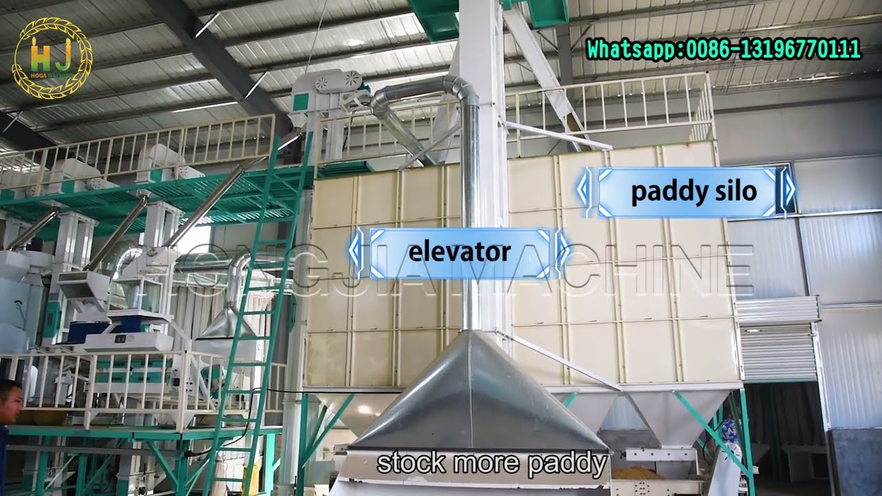 Revolutionize Your Rice Milling Process with a 60T/D Solution 