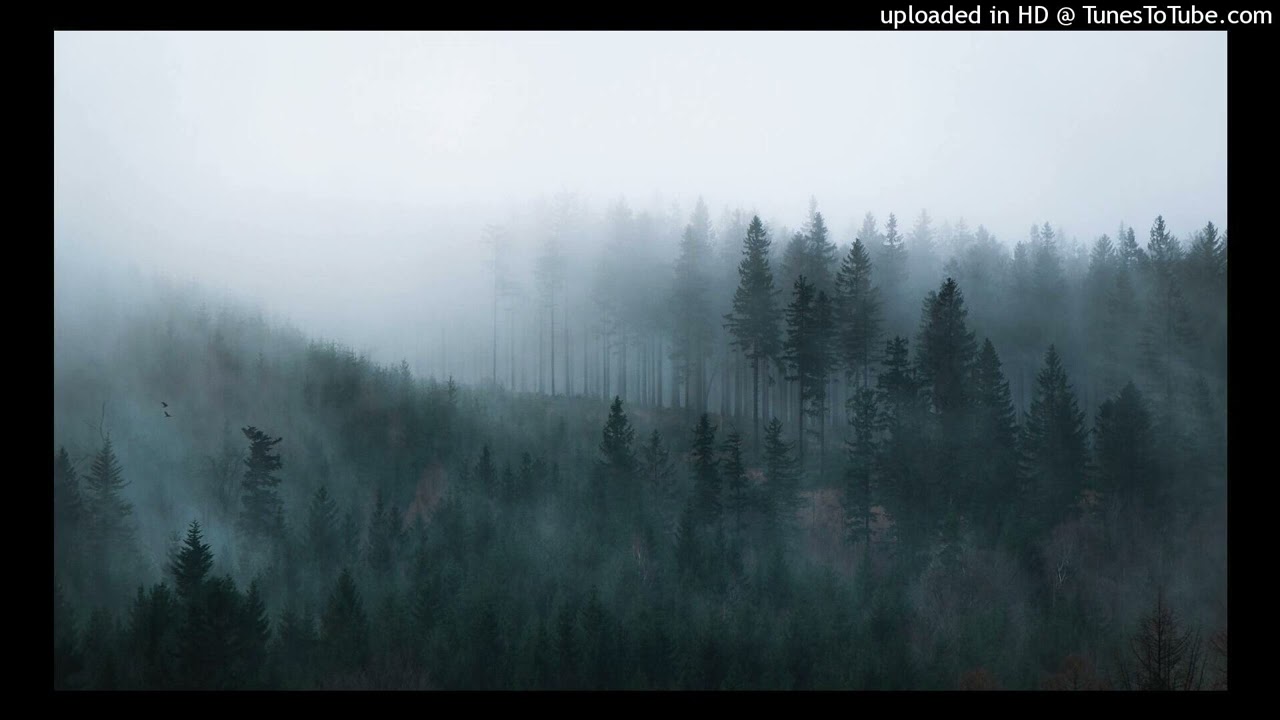 Espinazo - gravity elf