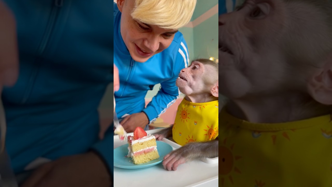 Strawberry Shortcake Treat for a Little Monkey 🍰🐒  