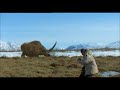 TRILOGY OF LIFE - Prehistoric Park - "Unicorn" (Elasmotherium sibiricum)