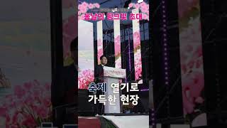 "이번 주말 여기 어때요?" 볼거리 가득한 소백산 철쭉제 나들이 - 썸네일