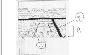Cross Section 2
