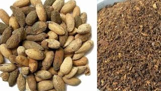 Download Lagu Preparation of neem seed kernal extract. Importance of NSKE. Complete details.#NSKE MP3