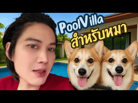 ผมพา2หมาไป Pool Villa หมาครับ ตามมา…. #สองหมาฮาเฮ