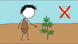 When Did Humans First Discover Cannabis?#CannabisHistory #AncientHistory #HistoryExplained