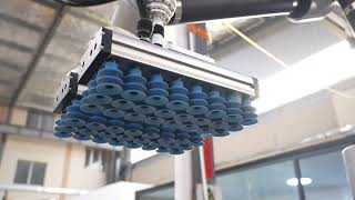 Fully-Automated Machine 3 Operational Demo: LMD30 by Qingdao Ausense Packing Equipment