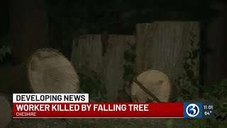 Tree worker dies after tree falls in wrong direction