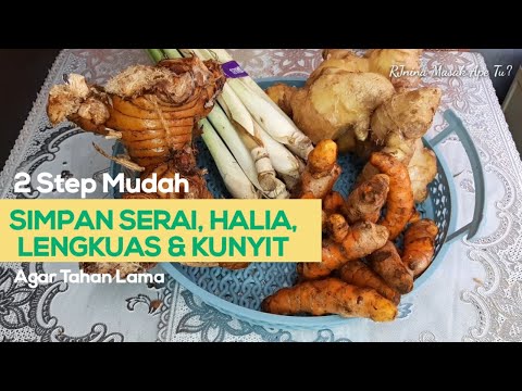 HANYA 2 STEP: CARA SIMPAN HALIA, LENGKUAS, SERAI, KUNYIT UNTUK TAHAN LAMA, LEBIH 1 BULAN | RJnina