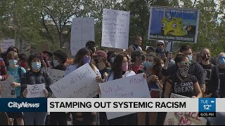 Calgary committee looks to stamp out systemic racism