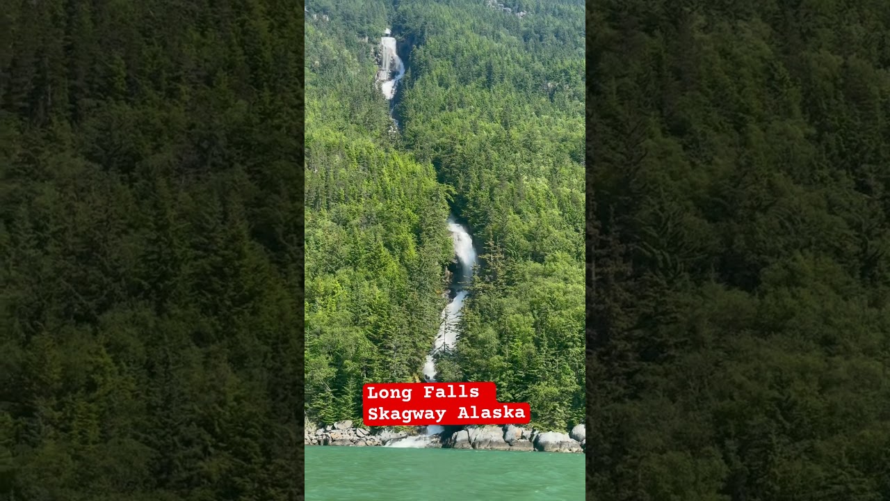 Nature in Alaska is on a whole different level 