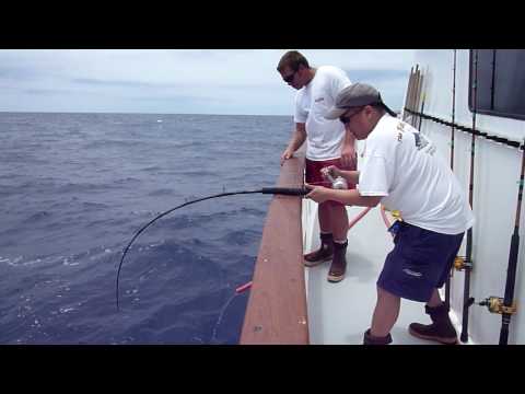 Red Rooster 3 - Rob's Yellowfin Tuna 113.8 lb 2 of 2
