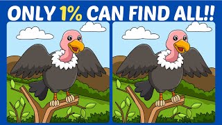 【Spot the difference】🔥10mins difficult puzzle improve your brain!!【Find the differences】