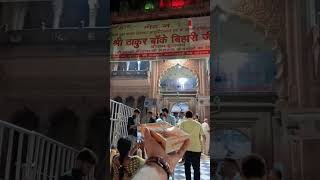 koe jaye jo vrindavan #radhakrishna #song #youtubeshorts #krishna #baakebihari #love  #radheradhe