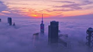 Stunning Moments Of Batumi At Night