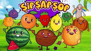 Kreş ve Anaokulu Şarkıları Ceviz Adam Şip Şap Şop 🏫