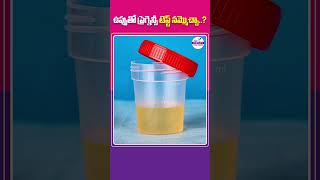 Can You Believe a Salt Pregnancy Test? || Top Fertility Doctors #shorts #pregnancytest #telugushorts