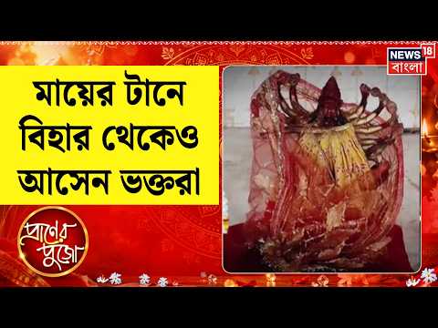 Durga Puja 2026 | পুজো ঘিরে নানা কাহিনী | দুশো বছরের ইতিহাস বুকে নিয়ে বালিগোড়ার দুর্গাপুজো