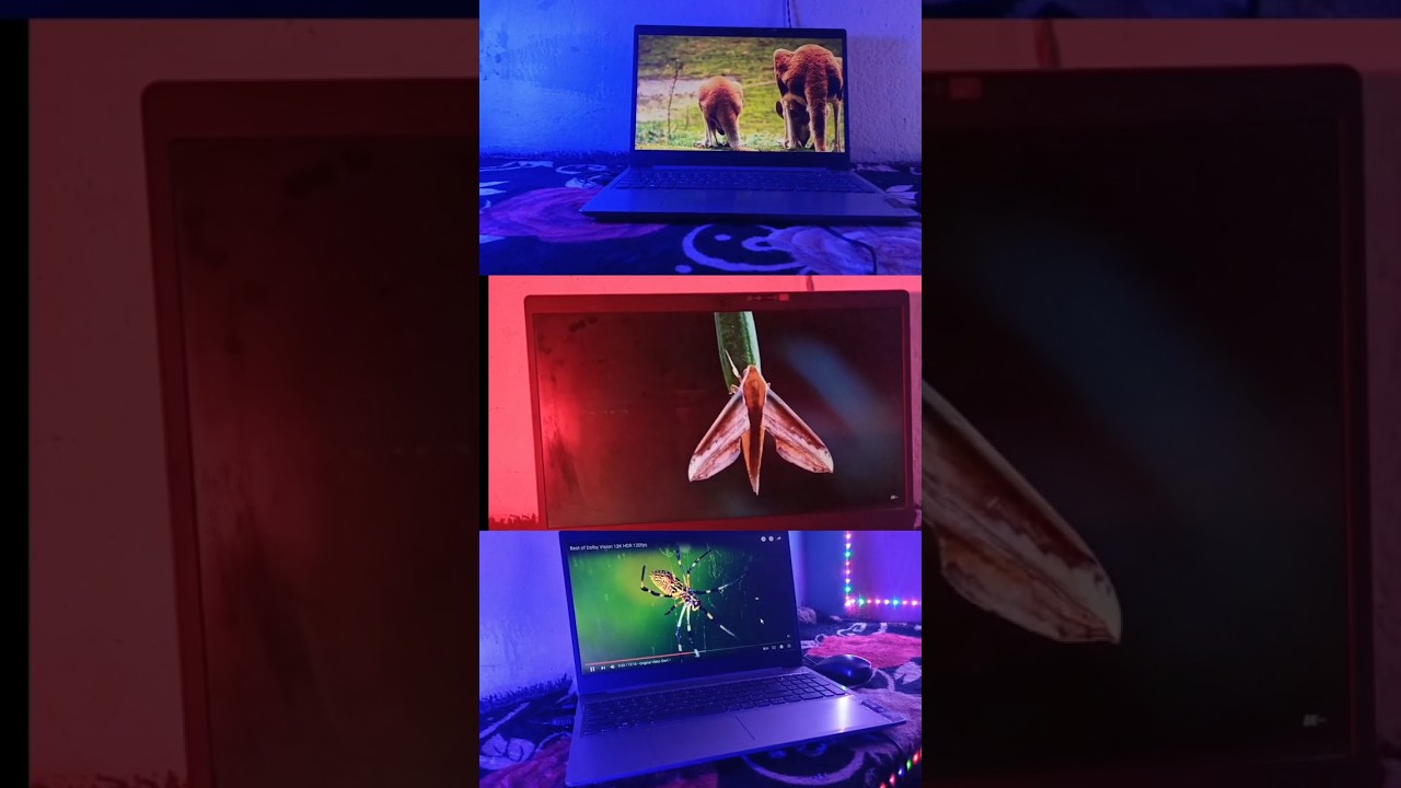 My New setup 💻😌  