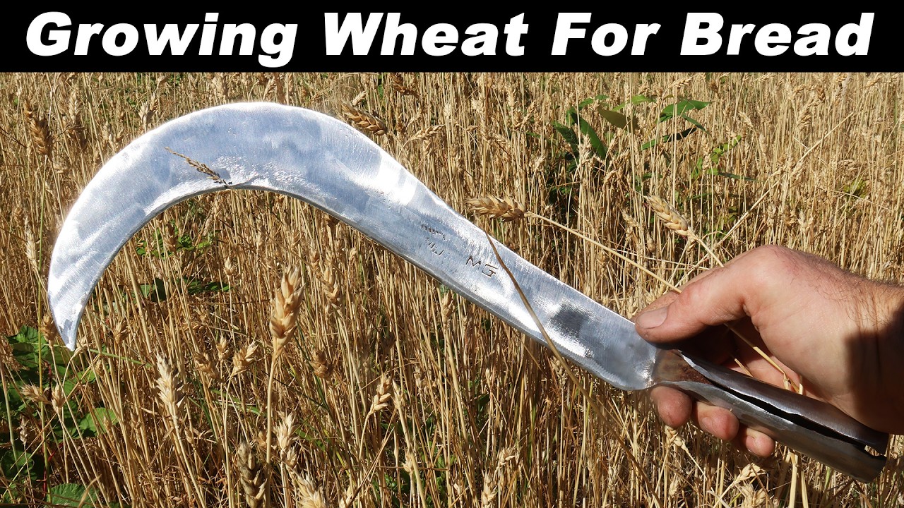 100% домашний хлеб — выпечка вкуснейшего цельнозернового хлеба на закваске из ингредиентов домашн...