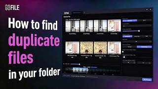NFile - How to Find Duplicate Files in Your Folder (Step-by-Step)