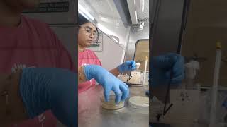 AST Test: How Labs Detect Antibiotic Resistance 🧫 #microbiology #viralreels #fyppppppppppppppppppppp