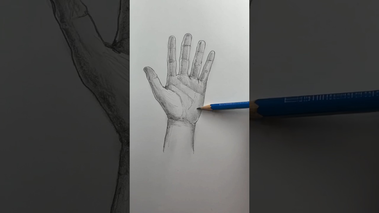 Простой способ нарисовать руку 🖐️ Урок рисования для начинающих. 