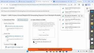New Perspectives Excel 365 Module 5 Sam Project A | Cierva Systems