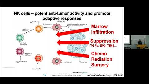NK Cells in Cancer Development and Response to Therapy