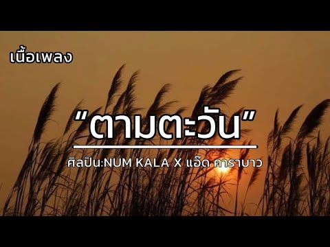 ตามตะวัน - NUM KALA X แอ๊ด คาราบาวที่[เนื้อเพลง]