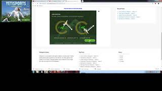 YetiSports8 Jungle Swing screenshot 3