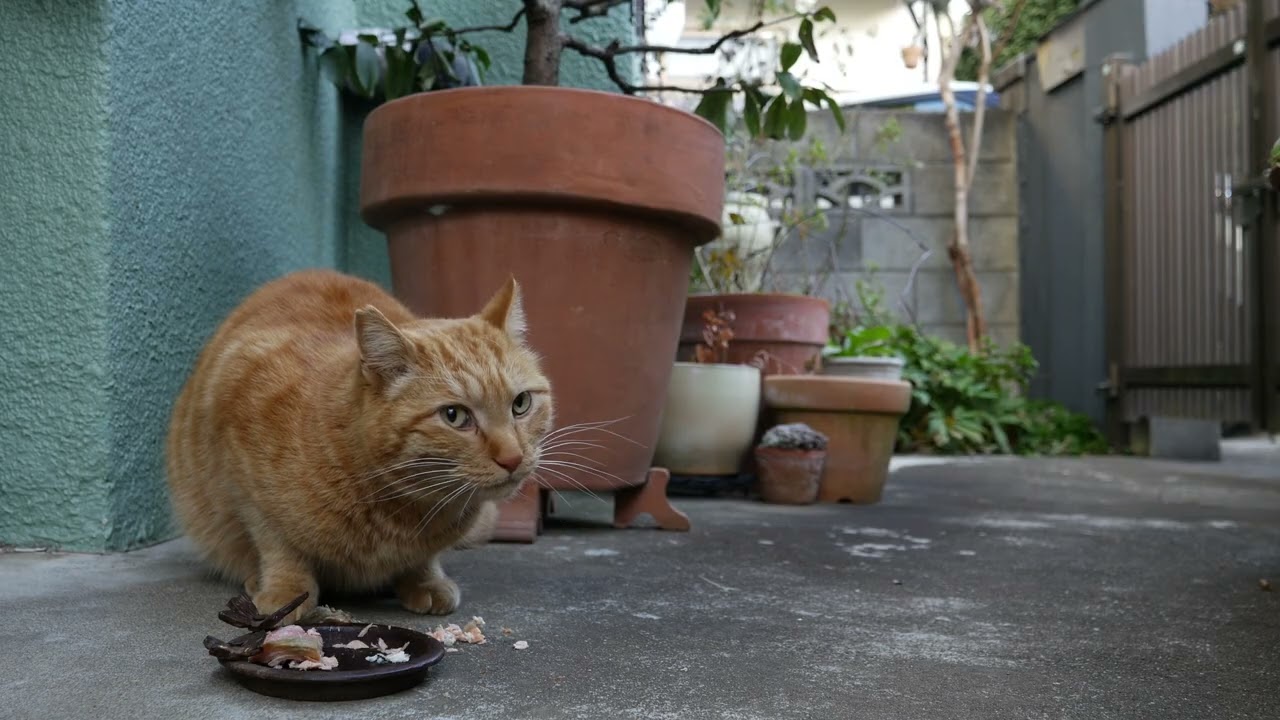 2026年02月19日07時23分