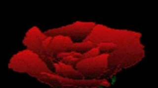 Ugur Gülüm Damar Www.tatli - Belam.de.tc