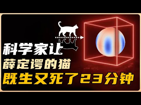Scientists Kept Schrödinger's Cat Alive and Dead for 23 Minutes | Asang Did It?
