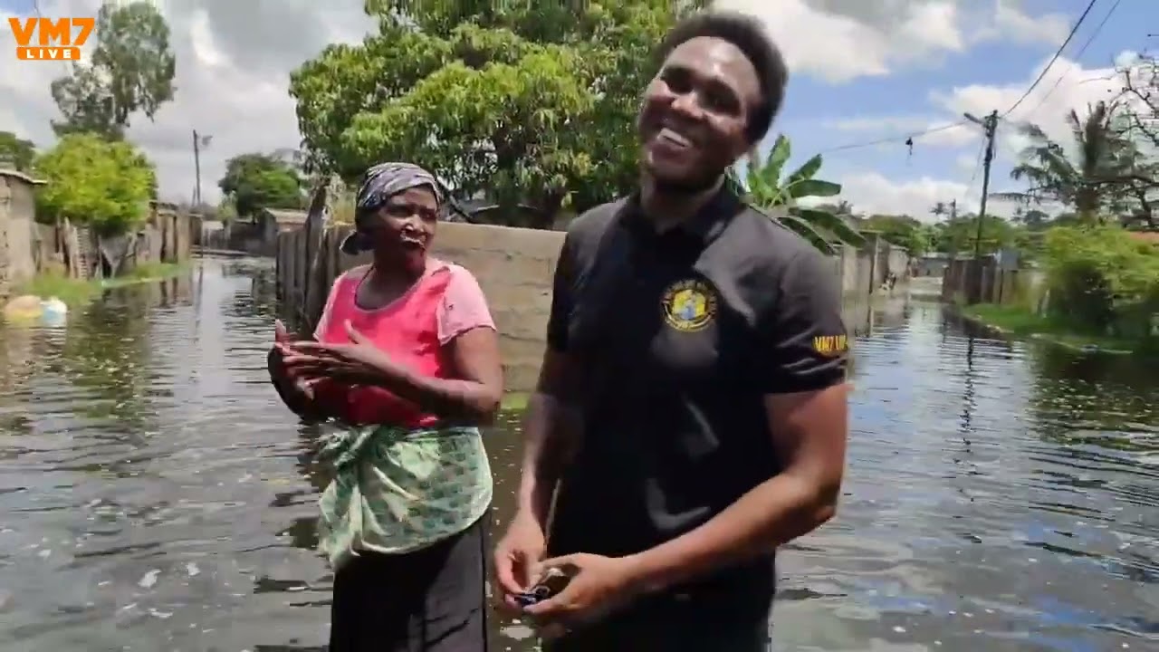 VM7 arrastado para as águas por uma avó