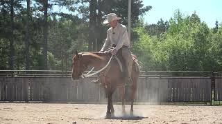Famous ES20 Snaffle Bit Basics with Luna Day 13 Profile