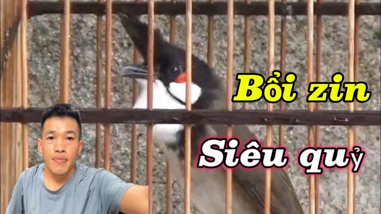 Đinh Quỷ Nết Giữ Đánh Nhanh Mạnh, Hàng Zin Già Rừng, Bộ Quá Đẹp// Chào Mào Bổi Vip 