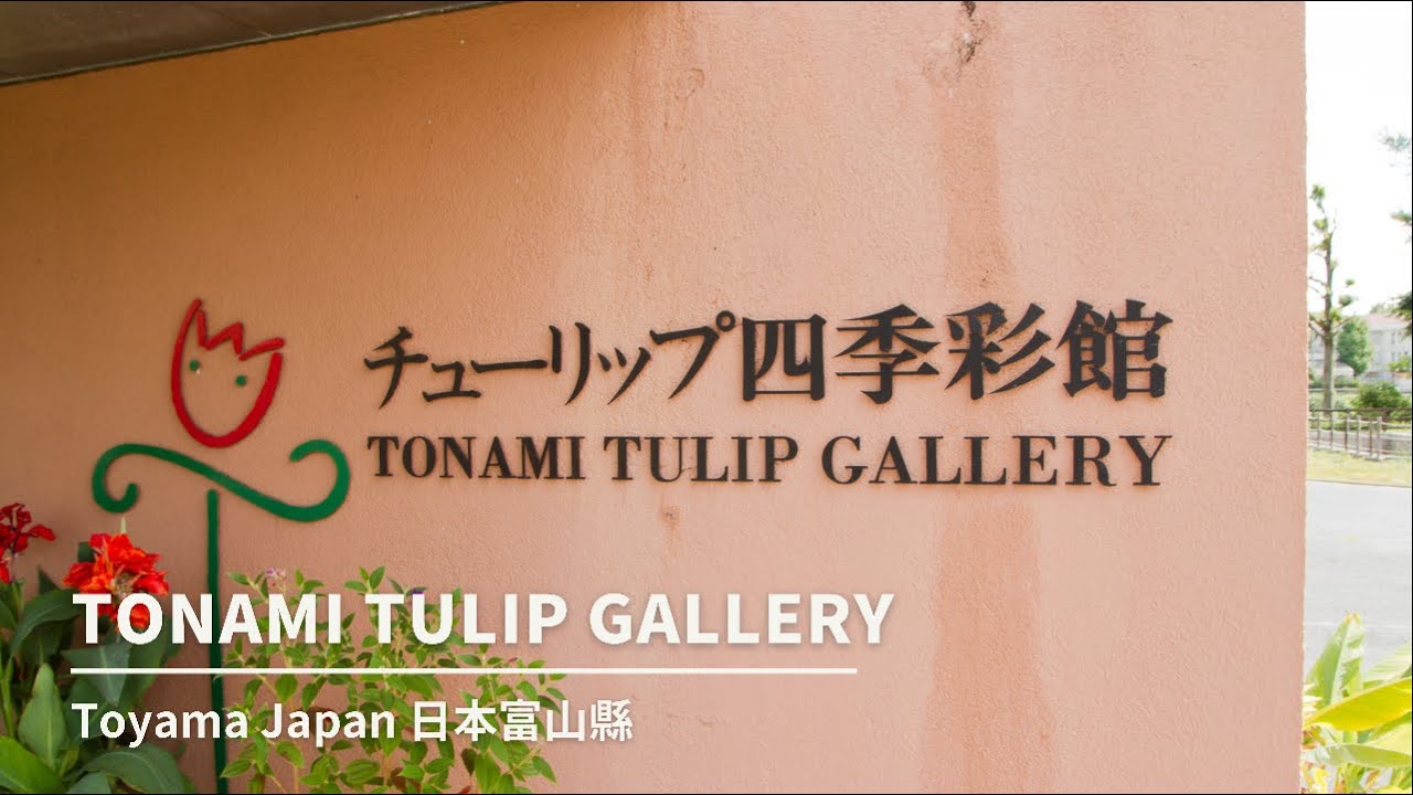 【4K】Quick view in Tonami Tulip Gallery|Toyama Japan - YouTube