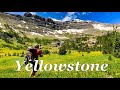 Yellowstone Teton Wilderness Part 2 Backpacking Thorofare Glacier Basin Outside the National Park 4k