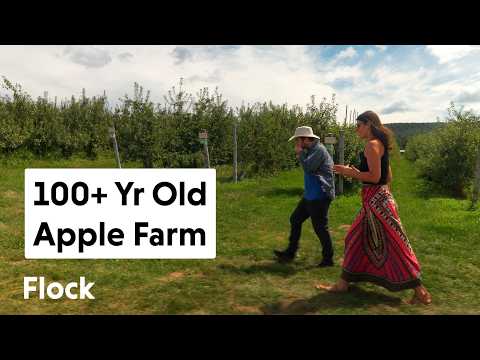 A Rich Heritage of a CENTURY OLD APPLE FARM — Ep. 358 thumbnail