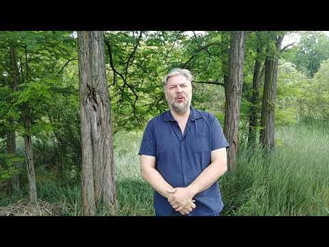 06_10_Cseh Antal_Gábor Áron rézágyúja