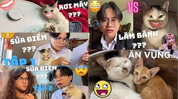 TỔNG HỢP NHỮNG CÂU CHUYỆN DỞ KHÓC DỞ CƯỜI CỦA CHIẾC MÈO VÀ MINH ANH HOÀNG | MINH ANH HOÀNG