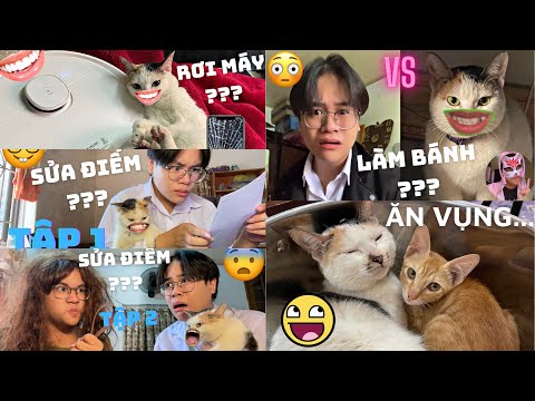 Video TỔNG HỢP NHỮNG CÂU CHUYỆN DỞ KHÓC DỞ CƯỜI CỦA CHIẾC... - youtube