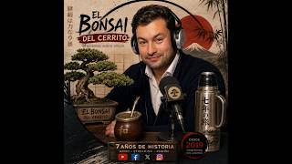 EL BONSAÍ DEL CERRITO | 7 años de historia, una nueva etapa