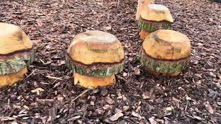 The Gathering Space - Thomas Muir Primary