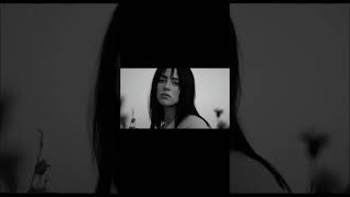 Chris Brown ft. Billie Eilish - shadow work (Official music video)