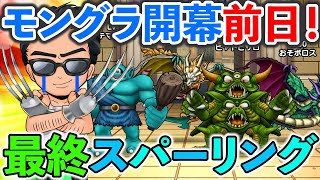 【ドラクエウォーク】モングラ開幕前日最終スパーやるぞやるぞやるぞやるぞやるぞぉおおおおおお！！！