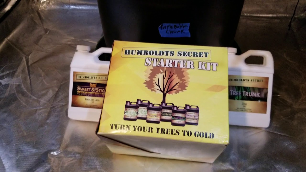 Humboldt's secret trial run day 67 update Purple Bubba Chunk