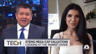 Tech sector valuations soar, investors 'sanguine' about future growth