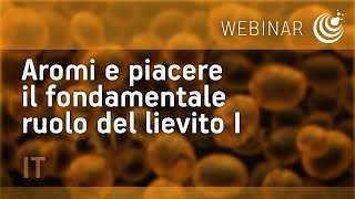 Aromi e piacere il fondamentale ruolo del lievito I parte- Fermentis webinar
